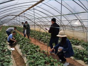岳阳市农业综合检验检测中心 把脉 全市种植产品质量安全